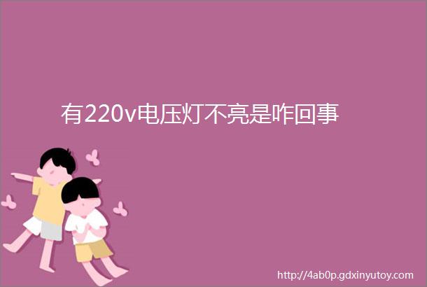 有220v电压灯不亮是咋回事